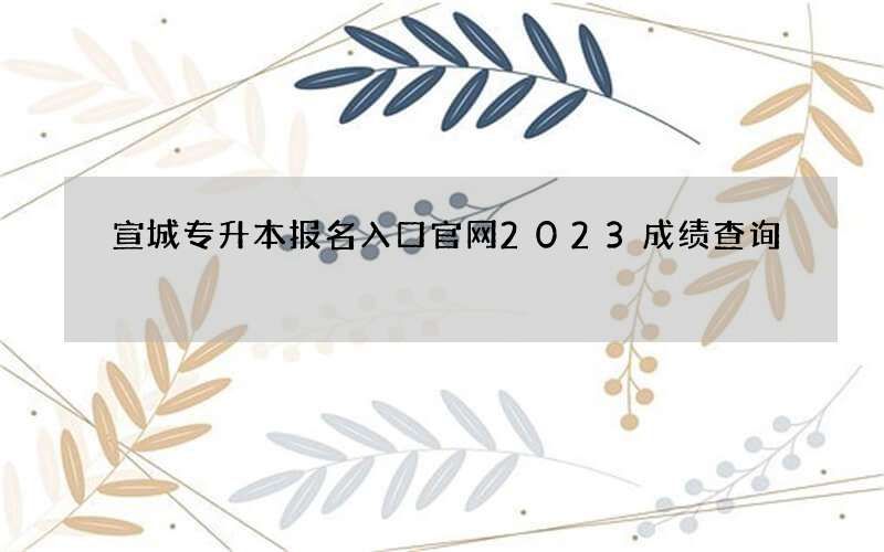 宣城专升本报名入口官网2023成绩查询