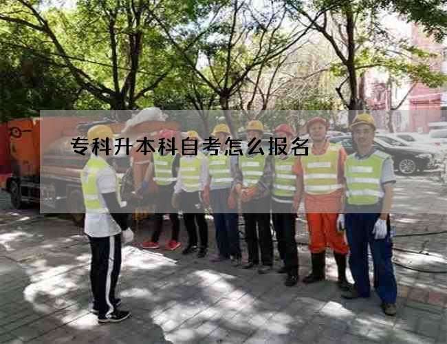 专科升本科自考怎么报名