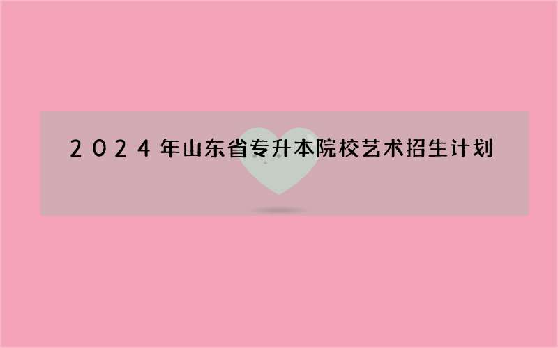 2024年山东省专升本院校艺术招生计划