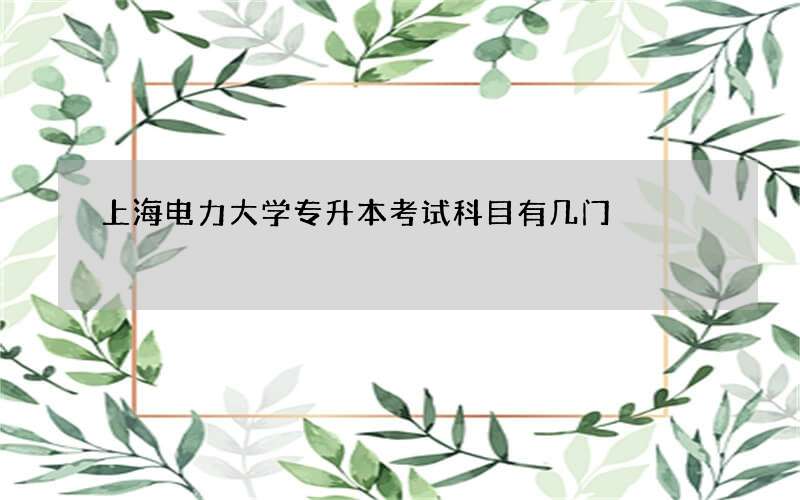 上海电力大学专升本考试科目有几门