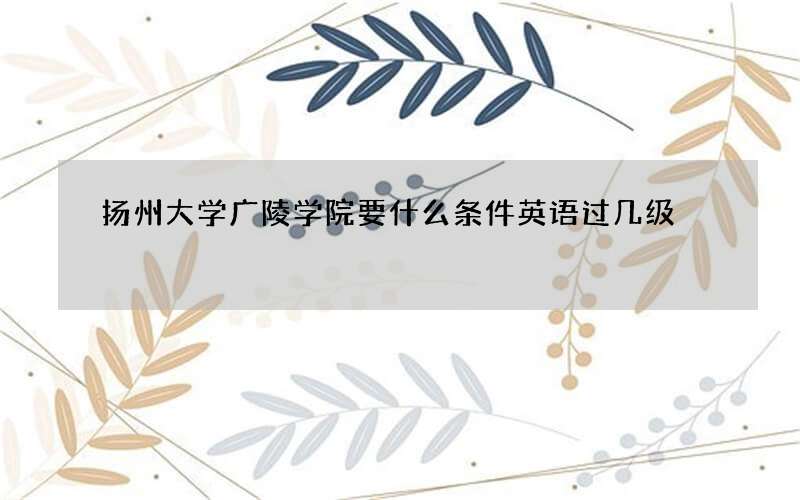 扬州大学广陵学院要什么条件英语过几级