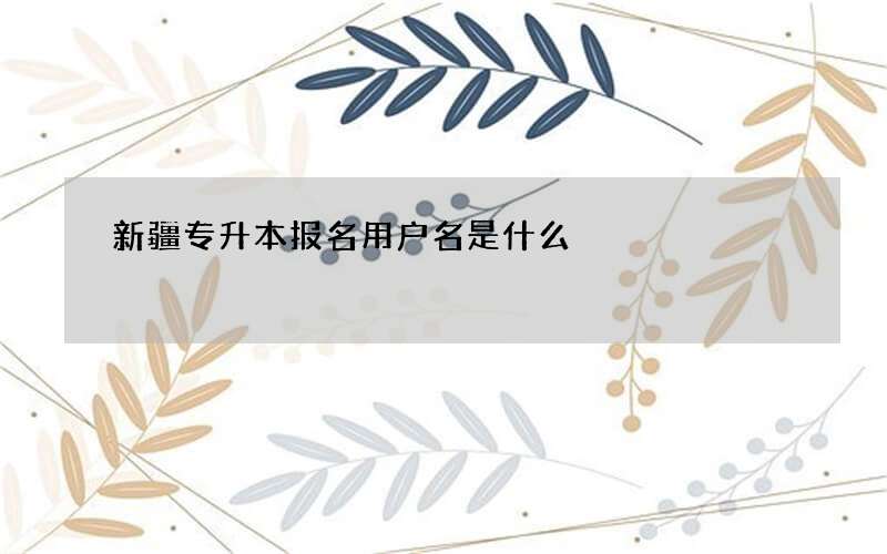 新疆专升本报名用户名是什么