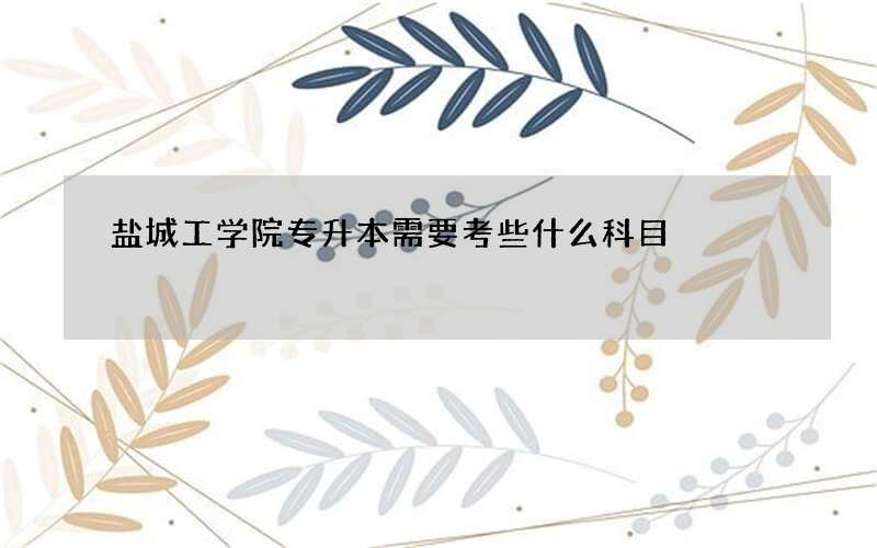 盐城工学院专升本需要考些什么科目