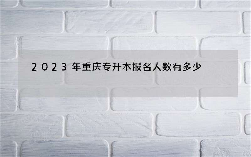 2023年重庆专升本报名人数有多少