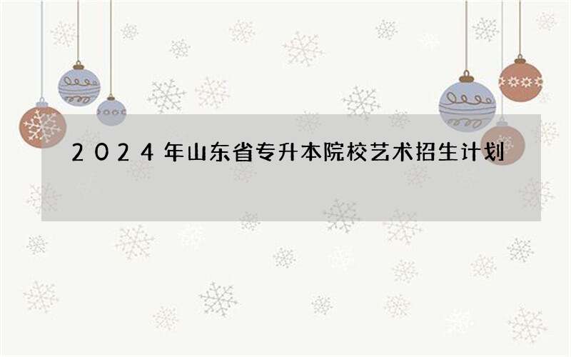 2024年山东省专升本院校艺术招生计划