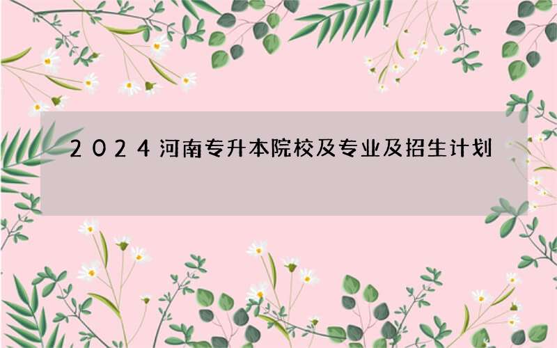 2024河南专升本院校及专业及招生计划