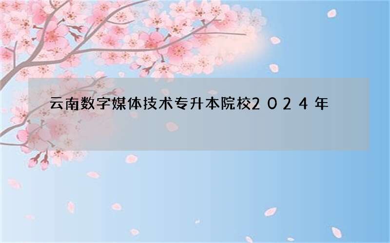 云南数字媒体技术专升本院校2024年