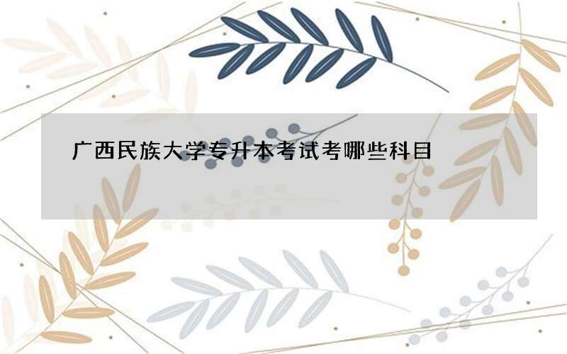 广西民族大学专升本考试考哪些科目