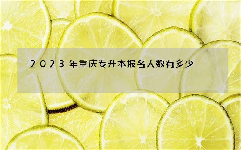 2023年重庆专升本报名人数有多少