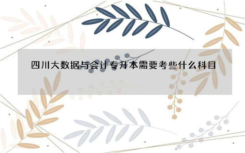 四川大数据与会计专升本需要考些什么科目