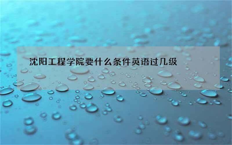 沈阳工程学院要什么条件英语过几级