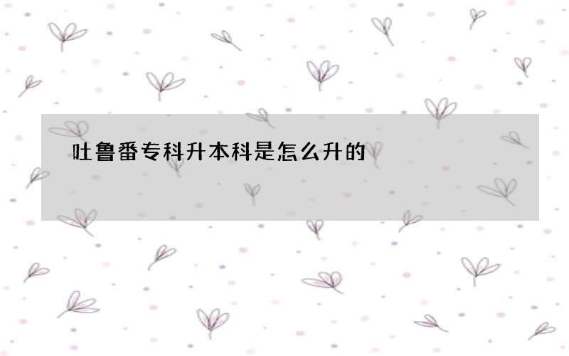 吐鲁番专科升本科是怎么升的