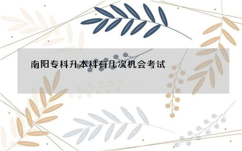 南阳专科升本科有几次机会考试